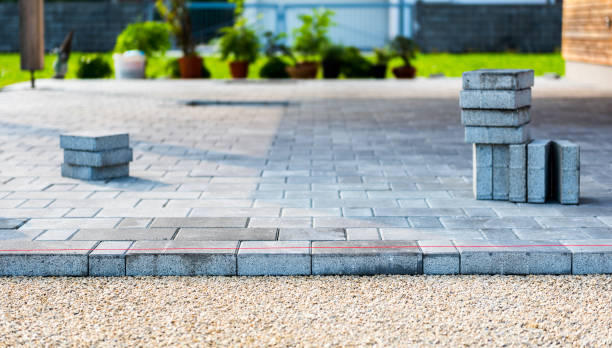 Professional Driveway Paving Services in Maple Grove, MN